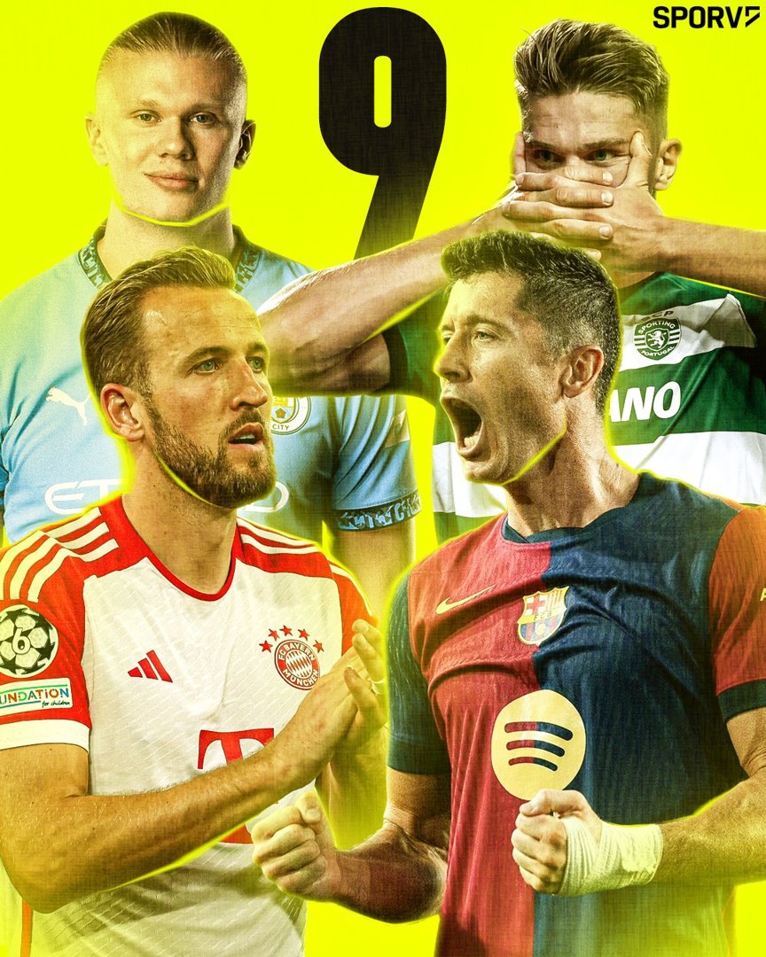 Conteúdo SPORV — projeto SPORV